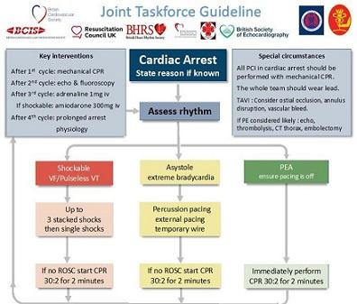 Summary graphic of Joint British Societies’ guideline on management of cardiac arrest